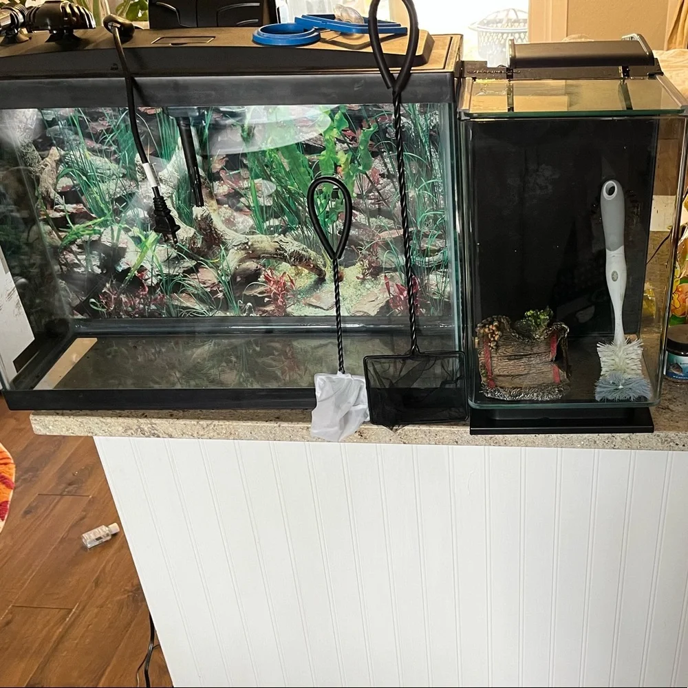 Fish aquariums